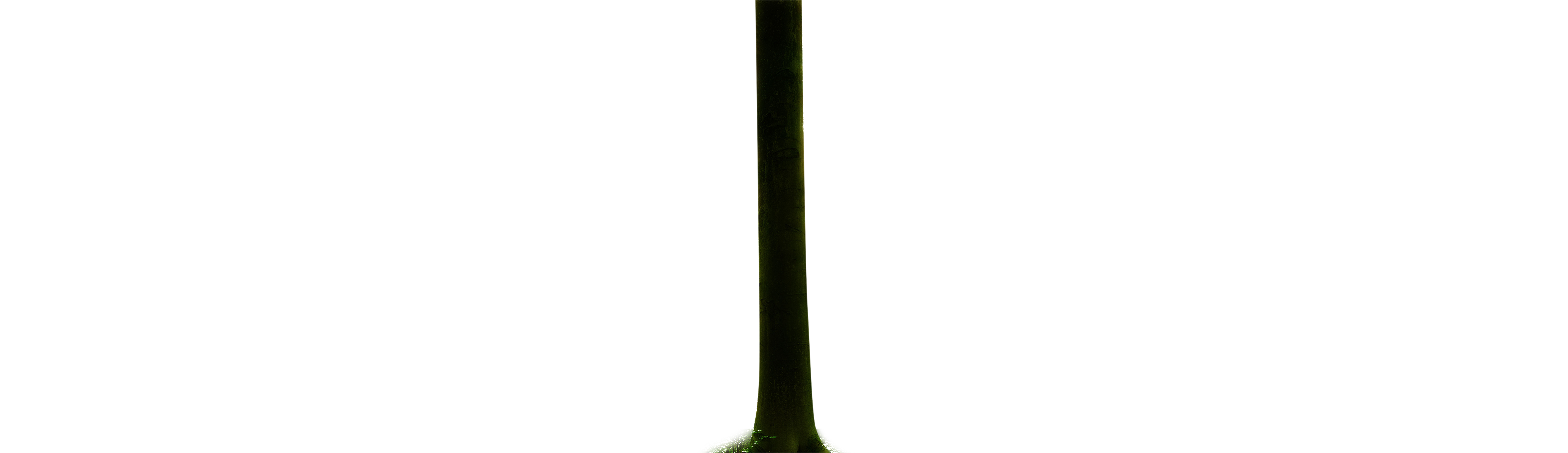 Boom 1